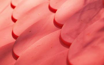 Brighton plastic roof costs